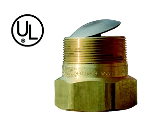 BACK PRESSURE CHECK VALVE 2" *STEEL*